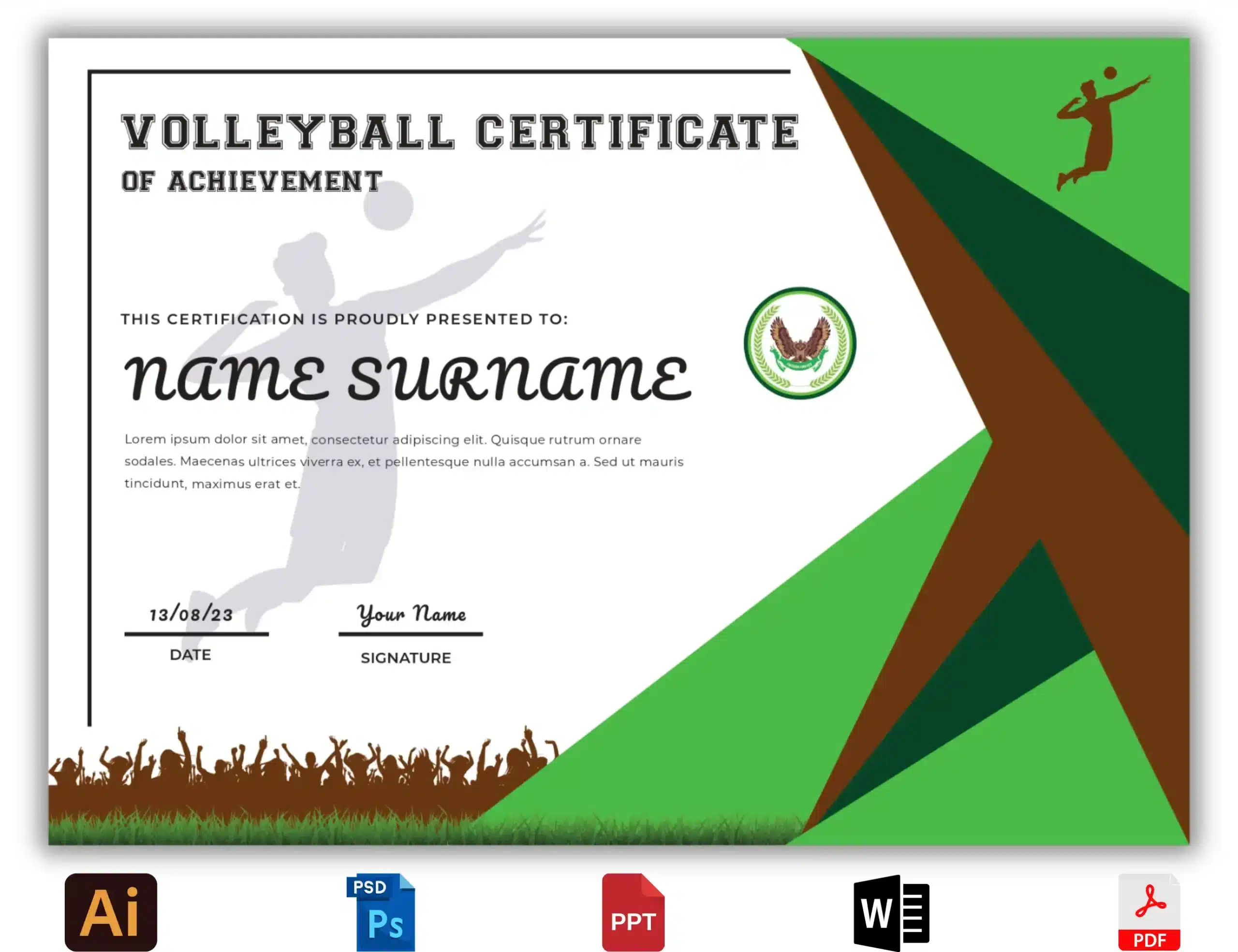 Volleyball Certificate